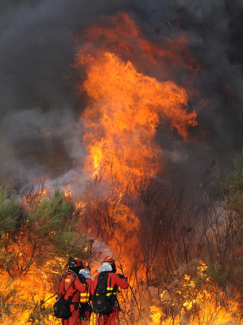 قصة مصورة: إجلاء آلاف الأشخاص في إسبانيا بسبب حرائق الغابات