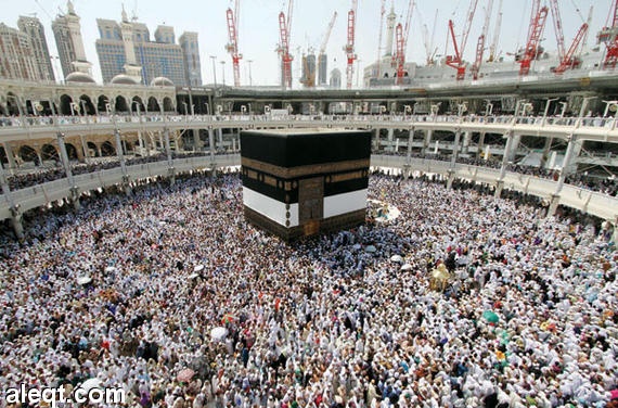 الجوازات : وصول نحو نصف مليون حاج للملكة