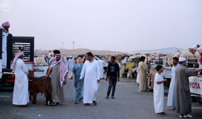 المملكة تستورد 4 ملايين رأس أغنام .. منها مليونًا تقدّمها لفقراء العالم