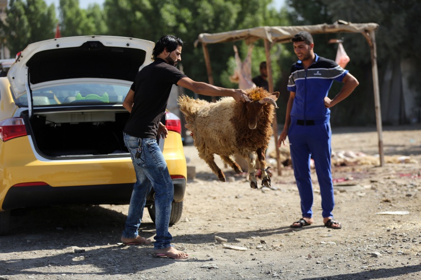 قصة مصورة: المسلمون يحتفلون بأول أيام عيد الأضحى