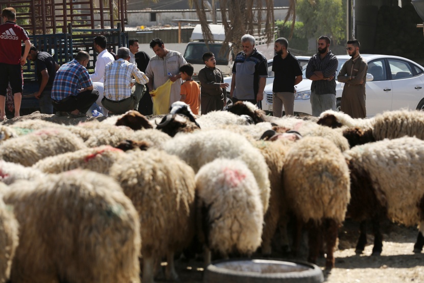 قصة مصورة: المسلمون يحتفلون بأول أيام عيد الأضحى