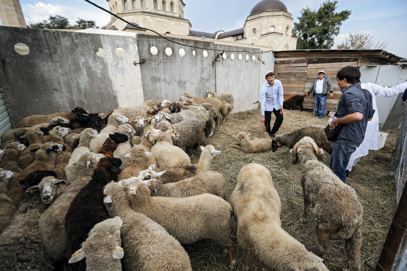 قصة مصورة: المسلمون يحتفلون بأول أيام عيد الأضحى
