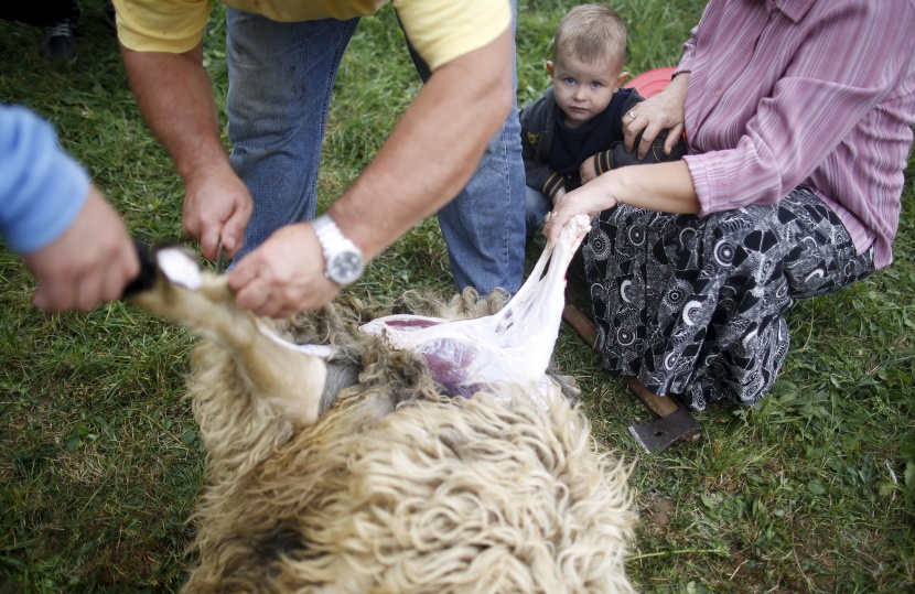 قصة مصورة: المسلمون يحتفلون بأول أيام عيد الأضحى