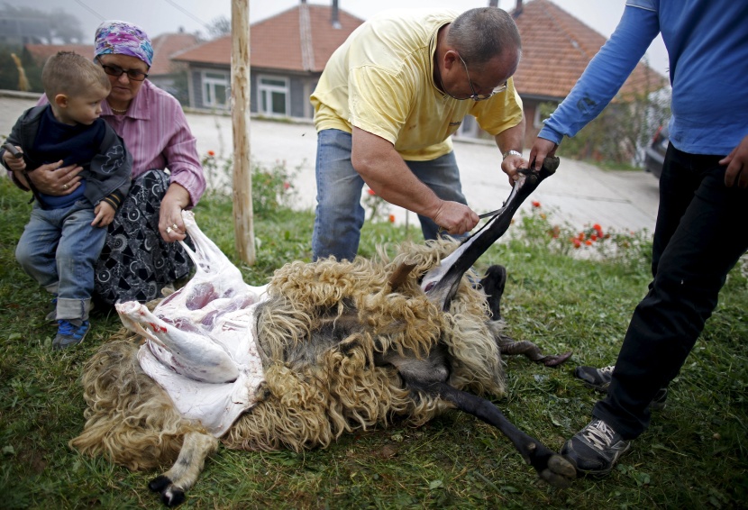 قصة مصورة: المسلمون يحتفلون بأول أيام عيد الأضحى