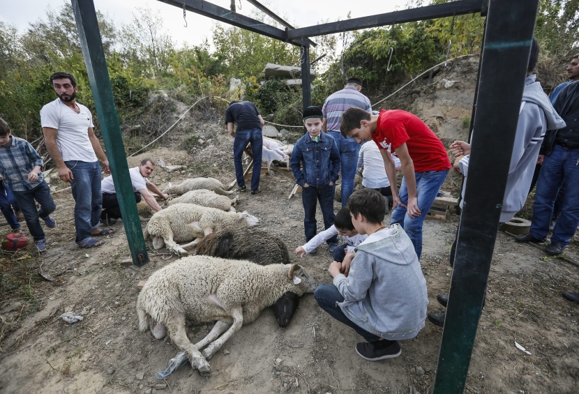 قصة مصورة: المسلمون يحتفلون بأول أيام عيد الأضحى