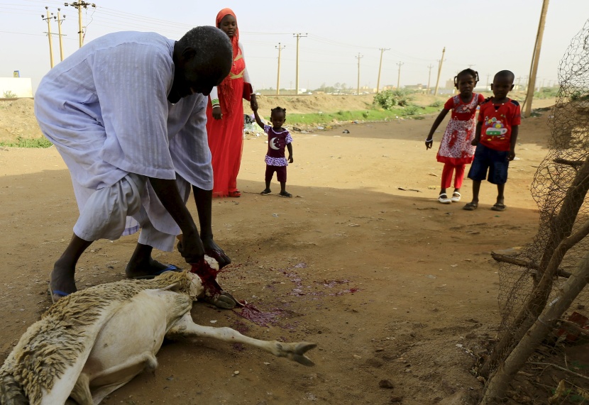 قصة مصورة: المسلمون يحتفلون بأول أيام عيد الأضحى