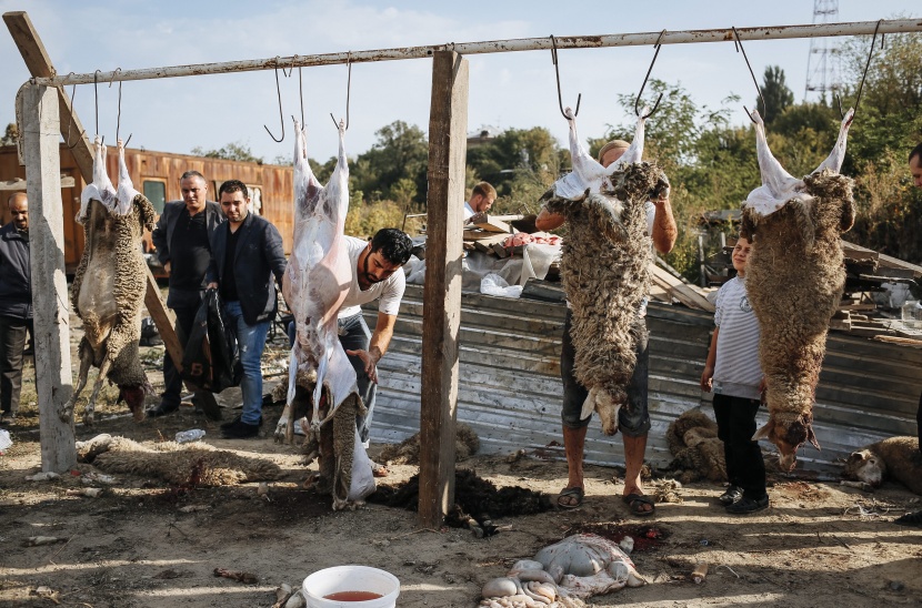 قصة مصورة: المسلمون يحتفلون بأول أيام عيد الأضحى