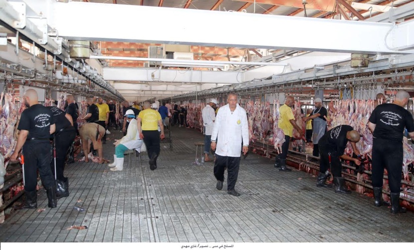 قصة مصورة: المسلمون يحتفلون بأول أيام عيد الأضحى