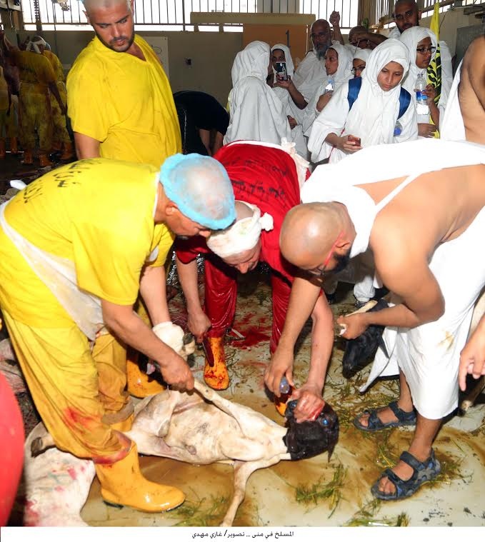 قصة مصورة: المسلمون يحتفلون بأول أيام عيد الأضحى