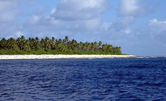 نيوزيلندا تعتزم إنشاء أكبر محمية بحرية في العالم