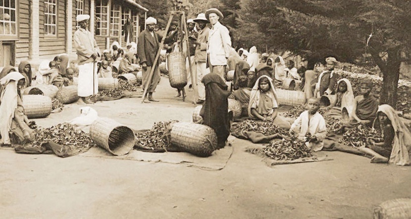 الشاي قصة حضارة ونمط تفكير .. نظرات جمالية وسجالات فقهية