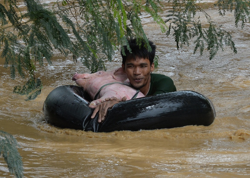 ارتفاع حصيلة ضحايا إعصار الفلبين إلى 14 قتيلا