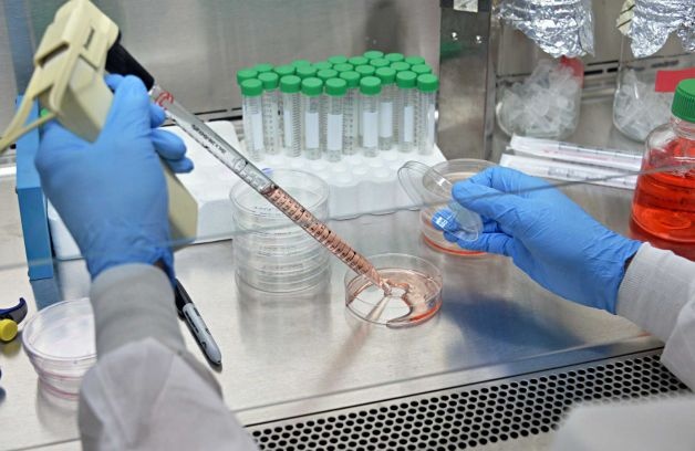 علاج السرطان يتحرك بسرعة هائلة.. باحثون يستخدمون علم التخلق في طب السرطان