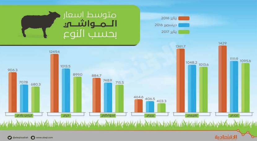  أسعار "المواشي" تتراجع إلى أدنى مستوى في 6 سنوات خلال يناير