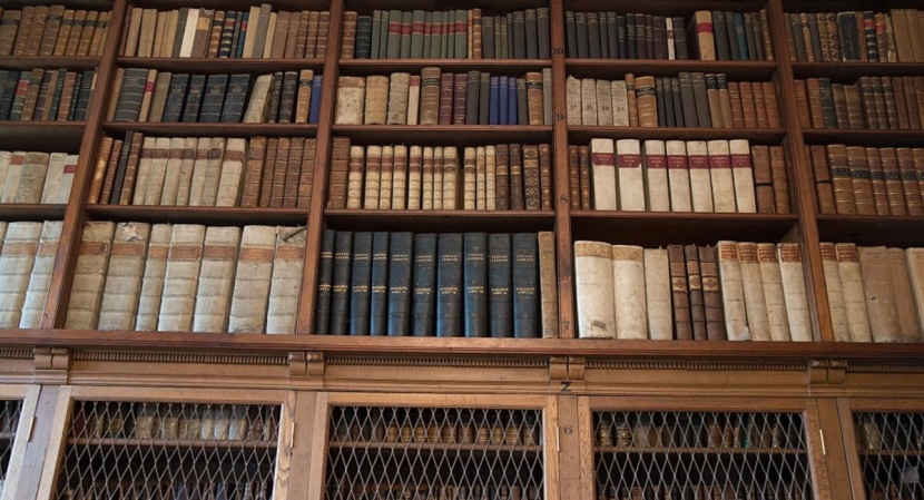 حكاية 13 كلمة عربية "سرقتها" الإنجليزية