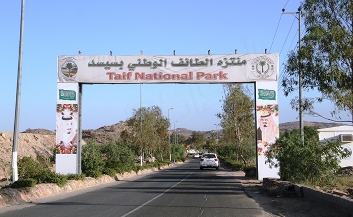 الطائف : إيقاف مواطن تعدى على 800 ألف متر مربع من الأراضي الحكومية