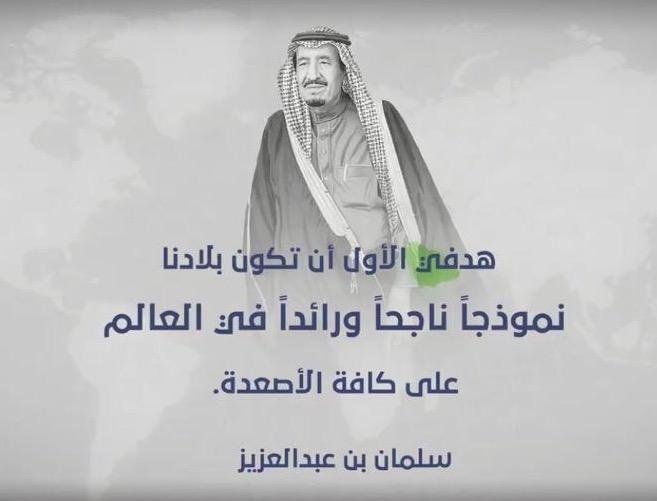بلمسات إبداعية .. حسابات «الرؤية» 
على خطى تحقيقها