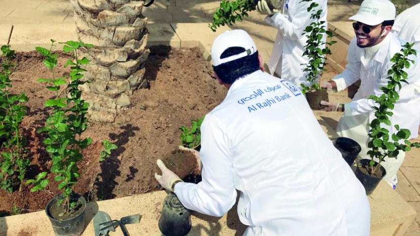 موظفو مصرف الراجحي يتطوعون لتنظيف واستزراع الحدائق في الرياض