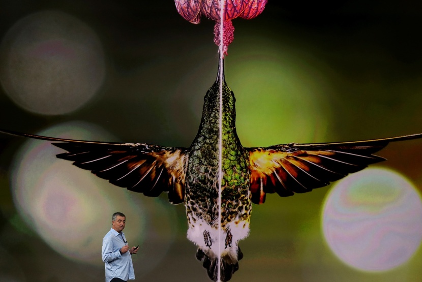 "آبل" تطرح النسخة الخاصة  iPhone X  بتصميم جديد وأسعار تبدأ من 1000 دولار 