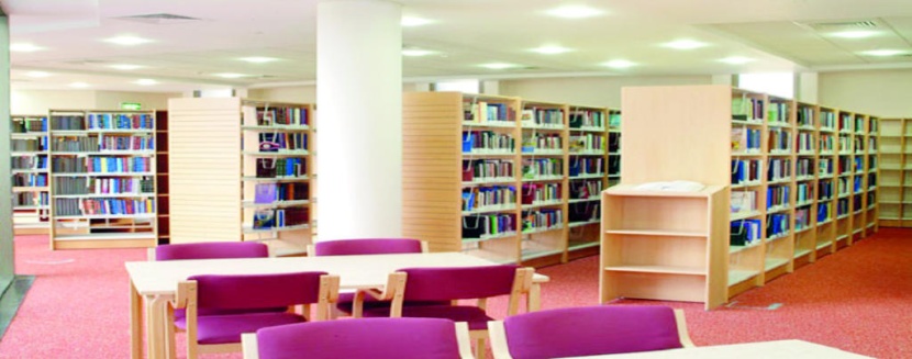 في انتظار التطوير .. المكتبات العامة خاوية على «كتبها»