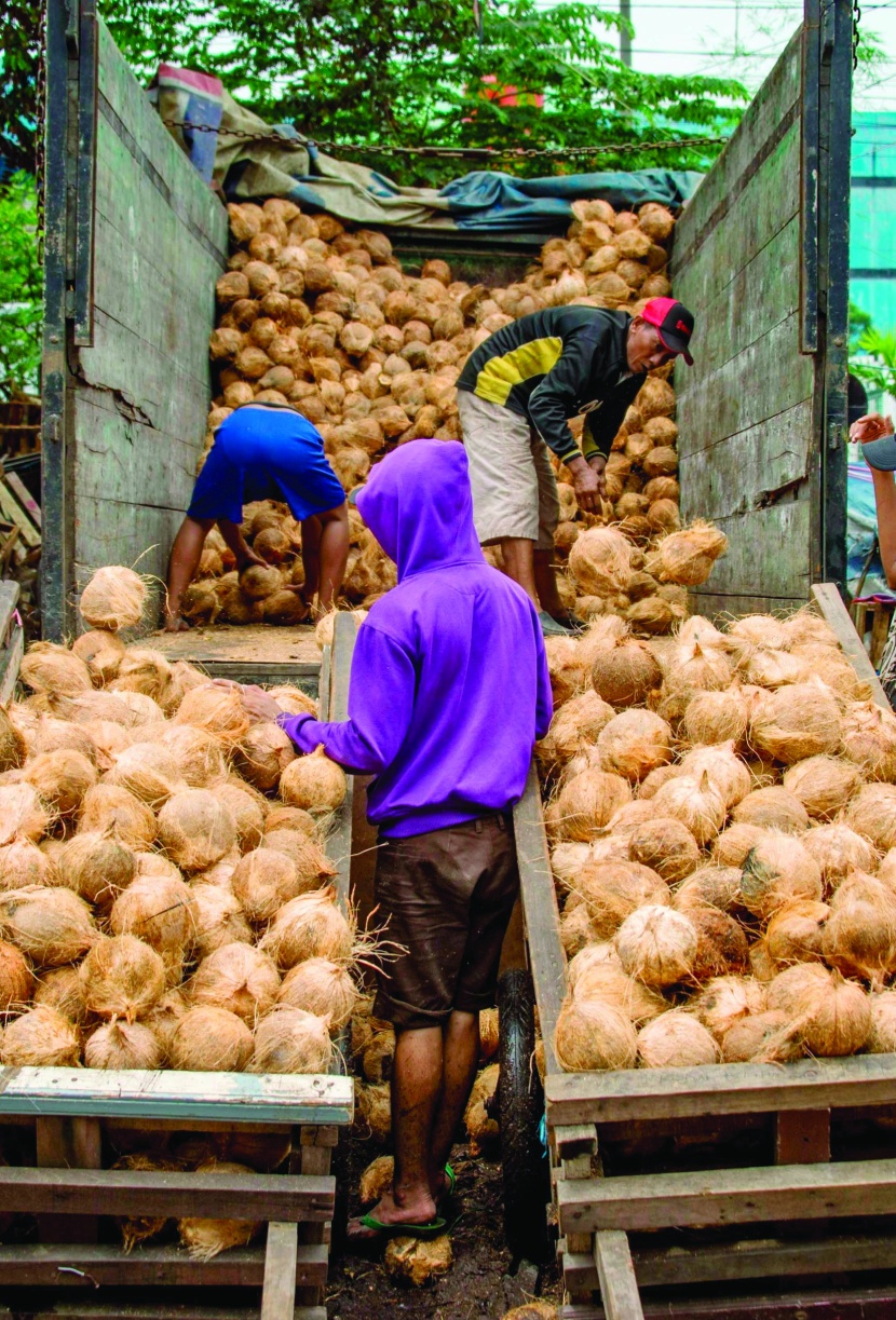 باعة جوز الهند داخل سوق الجملة في جاكرتا