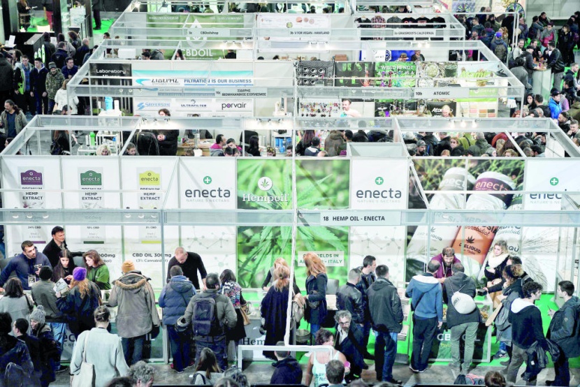 استثمارات القنب الطبي