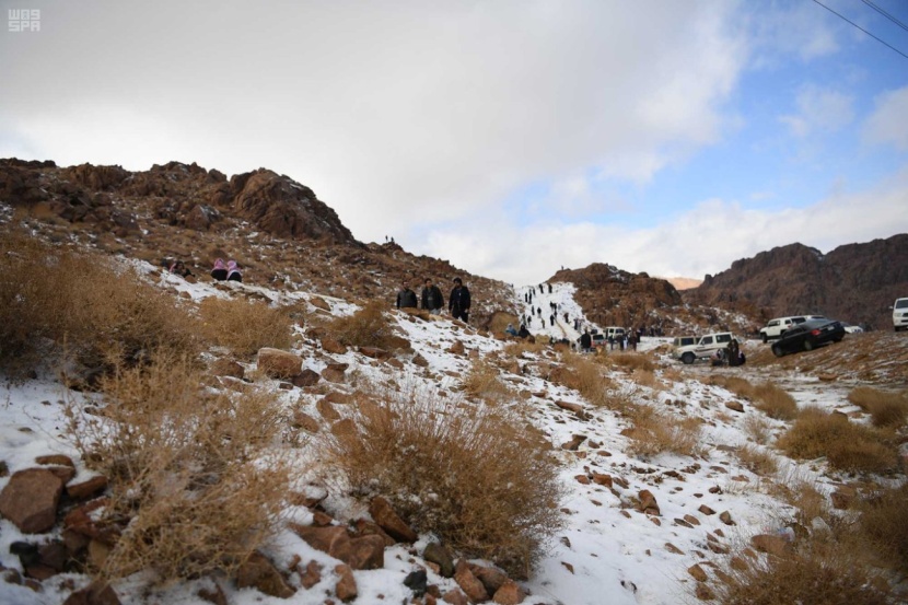 شباب تبوك ينقلون رياضة التزلج من الرمال إلى قمم الجبال 