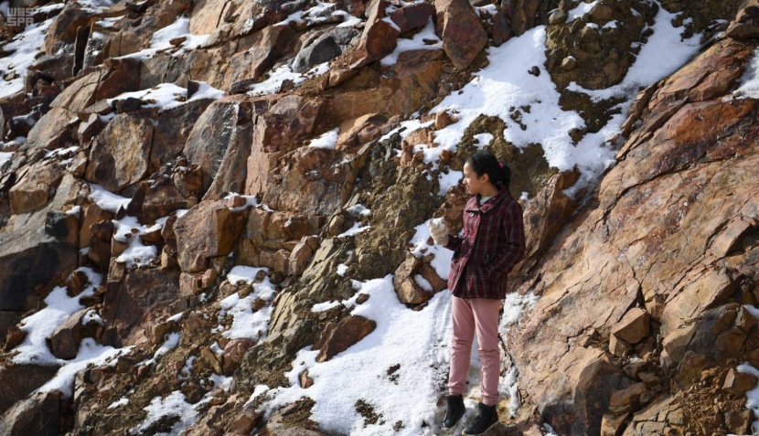 شباب تبوك ينقلون رياضة التزلج من الرمال إلى قمم الجبال 