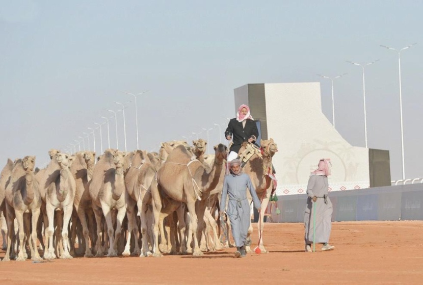 قسم الملكية