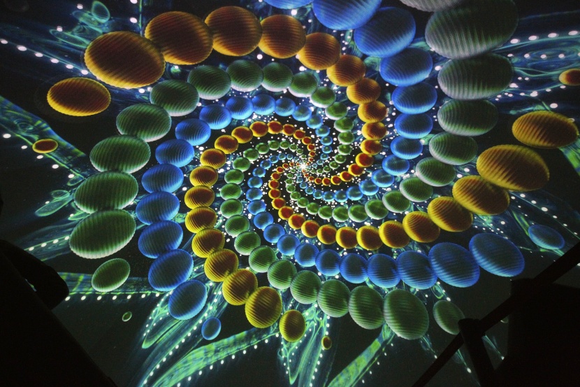 مهرجان الملك عبد العزيز لمزاين الابل