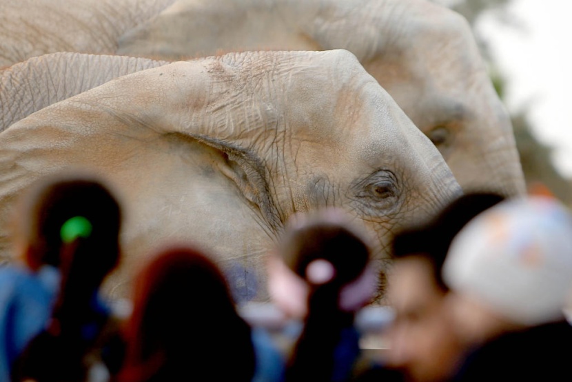 حديقة الحيوانات في الرياض