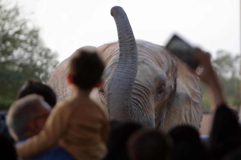 حديقة الحيوانات في الرياض
