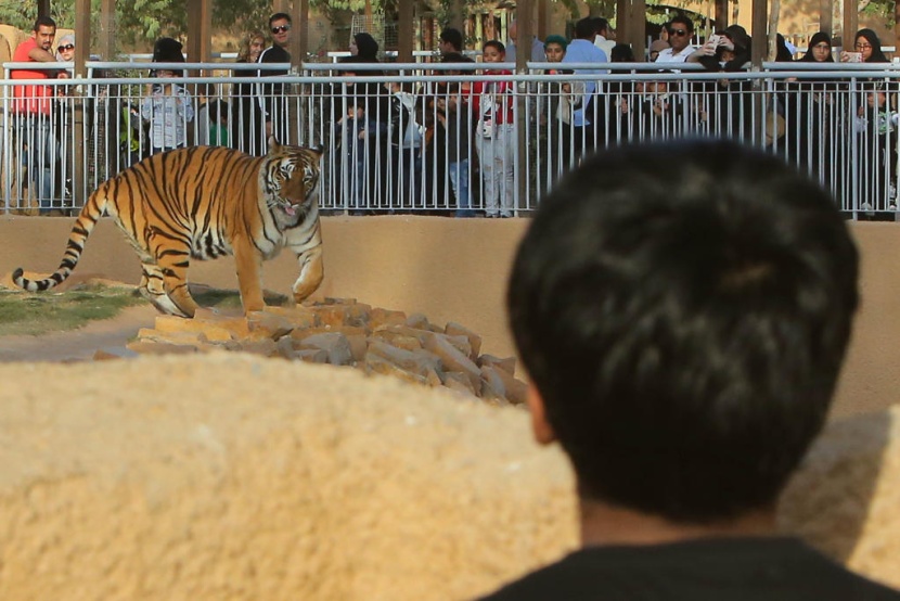 حديقة الحيوانات في الرياض