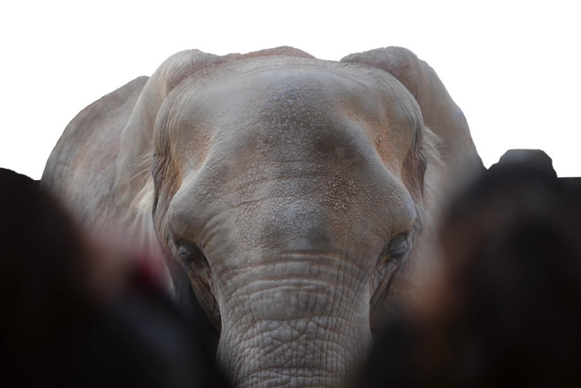 حديقة الحيوانات في الرياض