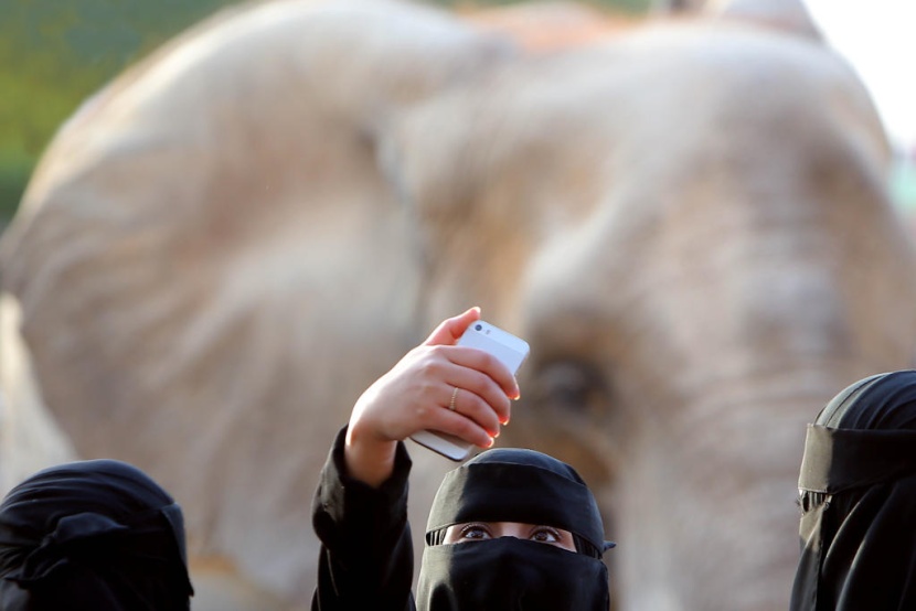 حديقة الحيوانات في الرياض