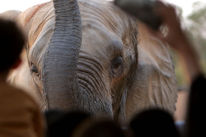 حديقة الحيوانات في الرياض