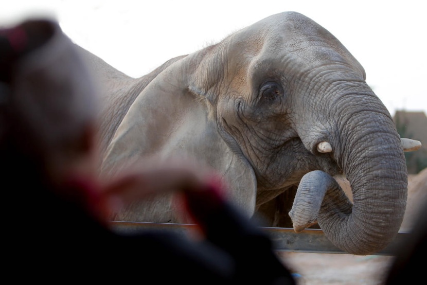 حديقة الحيوانات في الرياض