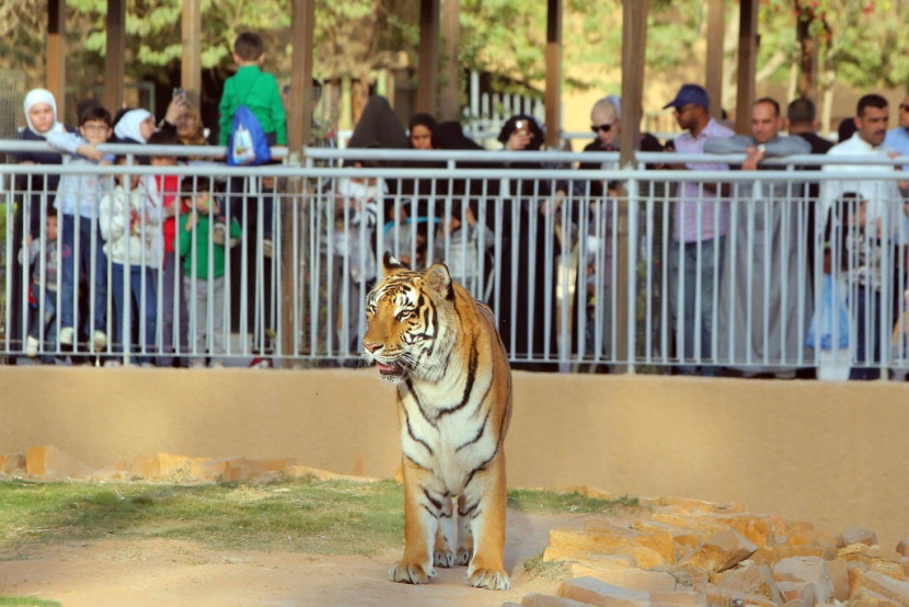 حديقة الحيوانات في الرياض