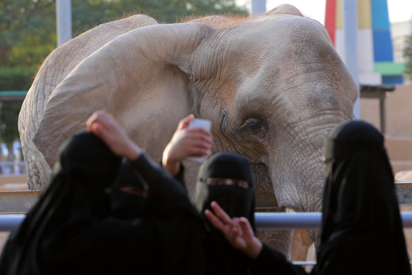 حديقة الحيوانات في الرياض