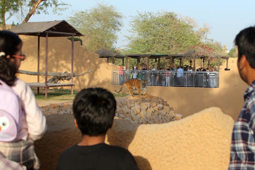 حديقة الحيوانات في الرياض