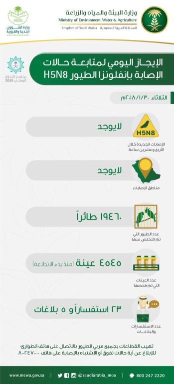 وزارة البيئة : لم يسجل أي إصابة بإنفلونزا الطيور H5N8 خلال الأيام الثلاثة الماضية