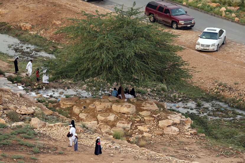 أمطار الرياض تجذب الأهالي للمتنزهات الطبيعية