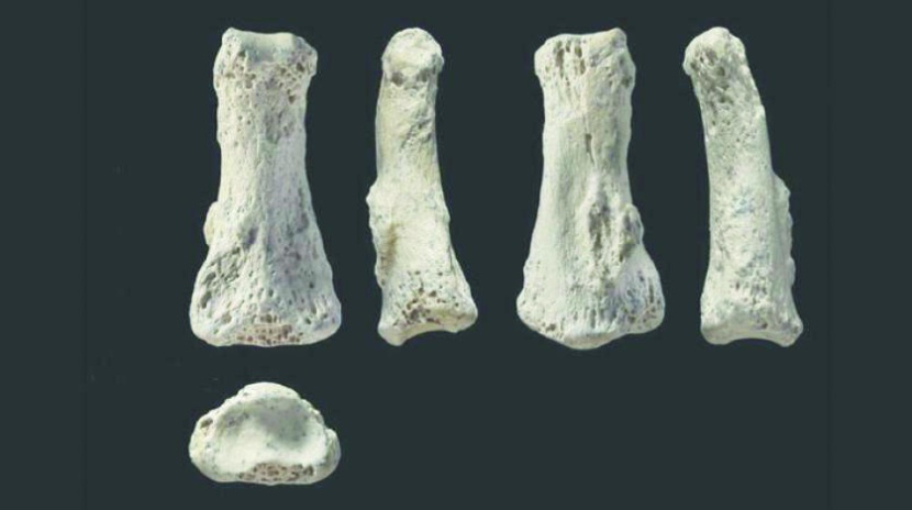 كنوز جزيرة العرب تعيد كتابة تاريخ البشر