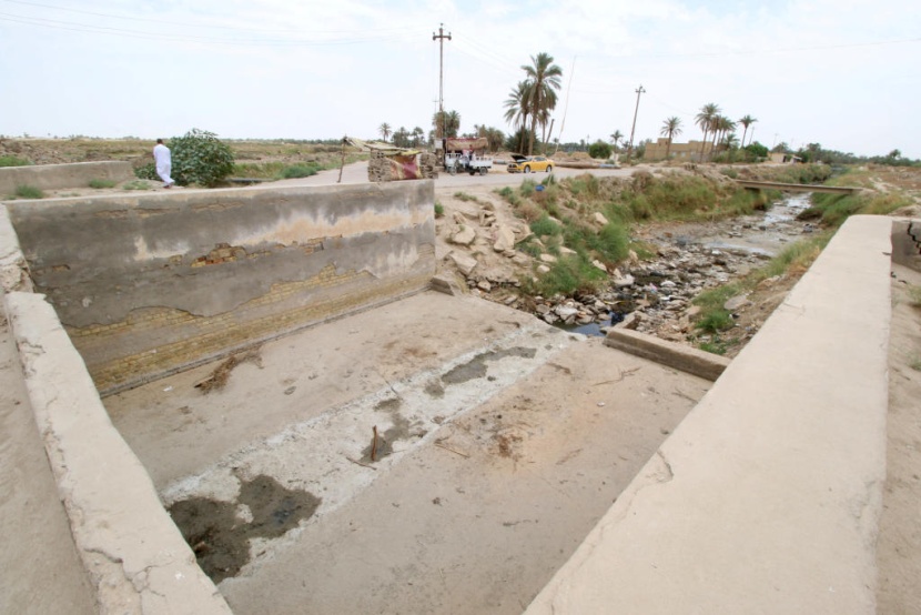 العراق يحظر زراعة الأرز والذرة بسبب الجفاف