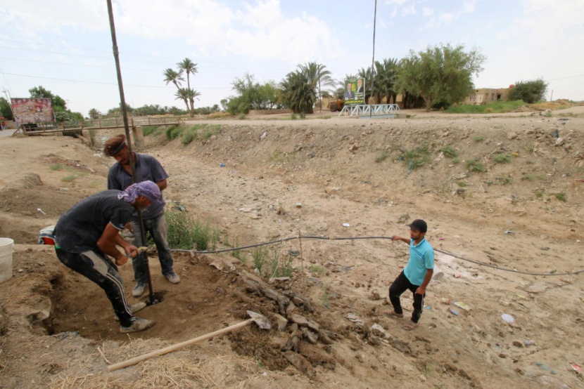 العراق يحظر زراعة الأرز والذرة بسبب الجفاف