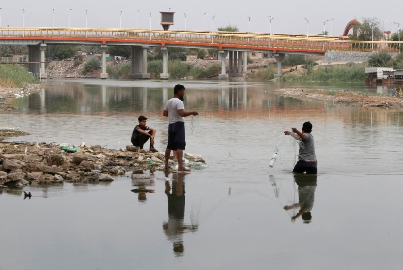 العراق يحظر زراعة الأرز والذرة بسبب الجفاف
