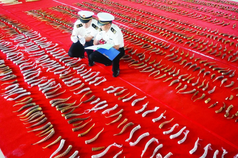 الجمارك الصينية تحبط تهريب كمية كبيرة من المنتجات الحيوانية غير القانونية تصل قيمتها إلى 15 مليون دولار