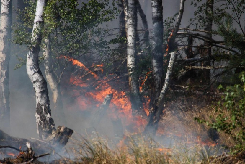 حرائق الغابات تعطل حركة المرور على عدد من الطرق السريعة في ألمانيا