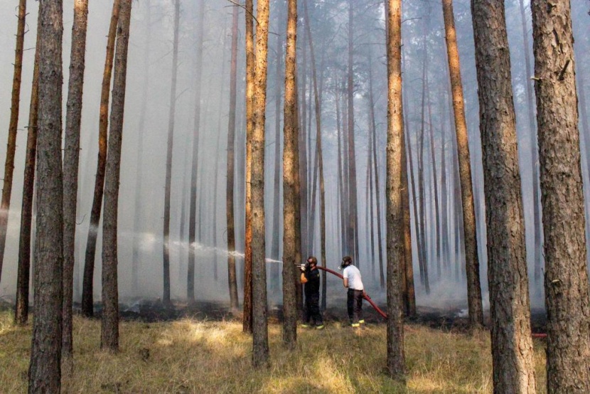 حرائق الغابات تعطل حركة المرور على عدد من الطرق السريعة في ألمانيا