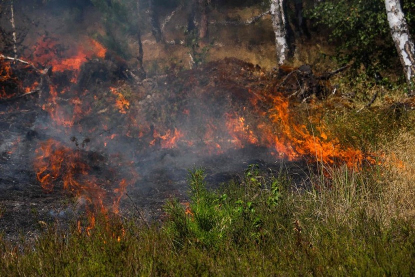 حرائق الغابات تعطل حركة المرور على عدد من الطرق السريعة في ألمانيا